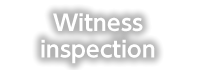Witness inspection