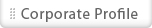 Corporate Profile