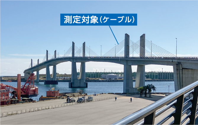 測定対象（ケーブル）